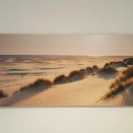De Schelp 37